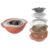 Kit de Utensílios Multiuso Cozinha 5 Peças Plasútil