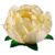 Forminha para Doces Finos – Bela Marfim – 30 unidades – Decora Doces – Rizzo