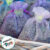 Saquinho de Organza – Roxo – 10 unidades – Rizzo