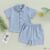 Conjunto de 2 Peças de Verão para Bebês Meninos, cor Sólida Lapela Manga Curta Tops com Shorts,0-4 Anos
