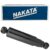 Amortecedor Iveco Daily 97 a 2019 Traseiro Motorista Passageiro Nakata HG36045