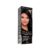 Tintura Beauty Color 3.0 Castanho Escuro