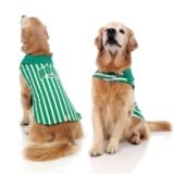 Fantasia Colete Alvi Verde P/ Cachorro