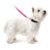 Coleira P/ Cachorros – Rosa