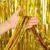 Cortina Decorativa Metalizada Fosca Dourada L1 x A2 m – 1 unidade – Rizzo