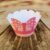 KIT  Saia Para Mini Cupcake Laço Rosa  20.24   ( Nc Toys Mini Cupcake )