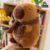Capivara de Pelúcia – para Presentes e Decoração