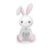 Caixa Coelho Fofura Lana Para Meio Ovo De 50g – 11,5×2,5x22cm – 10 unidades – Cromus – Rizzo