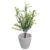 Buquê de Plantinha Mini Botão de Flor Jardinagem Decorativa – CC6280.