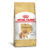 Ração Royal Canin Pomeranian Adult para Cães Adultos da Raça Lulu da Pomerânia 1kg