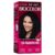 Tinta de Cabelo Biocolor Mini Kit Castanho Escuro Chique 3.0