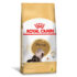 Kit Batente Coxim Amortecedor Dianteiro Palio 2010 Fire Orig