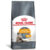 Ração Royal Canin Hair & Skin Pele e Pelagem Para Gatos Adultos 1,5kg