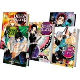 Kit Demon Slayer Vol. 6 ao 10