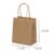 10~50 SACOLA KRAFT  11,5 X 7,5 X 14,5 (LC)  REF:6703