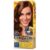 COR & TON NIELY TINTURA  CHOCOLATE 6.7
