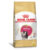 Ração Royal Canin Kitten Persa  Para Gatos Filhotes 1,5kg