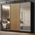 Guarda Roupa Casal 100% MDF Madesa Royale 3 Portas de Correr com Espelhos – Preto/Rustic