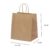 10~50 SACOLA KRAFT 23,5 X 13 X 25 (LC) – REF:0060