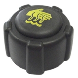 Tampa Reservatório Expansão Renault Megane 1997 a 2012 – 196759 – 25753