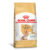 Ração  Royal Canin Yorkshire Terrier 8+ Cães Adultos 2,5kg