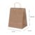 10~50 SACOLA KRAFT  22 X 13,5 X 29,5 -(LC)  REF5812
