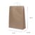 10~50 SACOLA KRAFT  37 X 13,5 X 46 (LC)  – REF:0121
