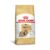 Ração Seca Royal Canin Shih Tzu para Cães Adultos 2.5kg