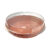 Forma Pie Redonda com Tampa – 18x3x18cm – 5 unidades – Ecopack – Rizzo
