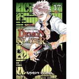 DEMON SLAYER – KIMETSU NO YAIBA 17 – PANINI