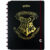 Caderno Inteligente Grande 20x27cm 80 Folhas Harry Potter Jandaia – 1 Unidade