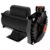 Bomba Centrifuga 1CV Monofásica 110/220V CP6R DANCOR