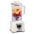 Liquidificador Arno Power Max LN64 1400W Jarra 3,1L Marfim 220V