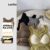 (LIVE STREAM SALE) Lovito Casual Plain Basic Bra pads incluídos Tank Top para Mulheres LNE16170