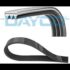 Lovito Grampos de Cabelo de flores LCS31A27