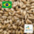 Malte Agraria Pilsen – 3kg