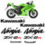 Kit Adesivos Moto Kawasaki Ninja 250R Zx-2R Modelo Original