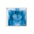 CD Lorde – Virgin (Clear Disc) – Importado