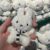 Miffy Kawaii Boneca De Pelúcia Pingente Dos Desenhos Animados Coelho Preto Branco Cachecol Chaveiro Mochila Acessórios P