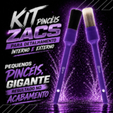 Kit 2 Pincel Para Detalhamento Automotivo Interno E Externo Zacs Vonixx Numero 14