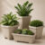 Kit 4 Vasos Polipropileno Coluna Quadrado Texturizados Para Planta Flor Jardim