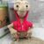 20-28cm Disney E.T . O Anime Extra-Terrestre Figura ET Brinquedos De Pelúcia Extraterrestre Boneca Natal Para Crianças
