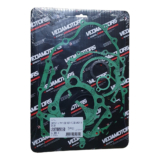 Jogo Juntas Motor Completo Fazer 250 Lander 250 Tenere 250