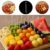 200 ESPETINHO PARA PETISCO APERITIVOS MINI GARFINHOS CRISTAL PLASTILANIA