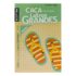 Regata Juvenil para Menina Gloss