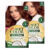Kit 2 Tintura Soft Color Sem Amônia Castanho Acobreado 54 Kit