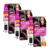 Kit Tintura Casting Creme Gloss Castanho Escuro 300 – 3 Unidades