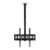 Suporte de Teto Para TV Zinnia Axion, 32 Pol a 58 Pol, Preto, ZNO-AXI-BL01
