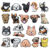 Encantos De Sapato pingente de sapato de PVC para cachorro fofo, decoração, acessórios DIY, botões