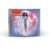 CD Katy Perry – 143 (Standard)